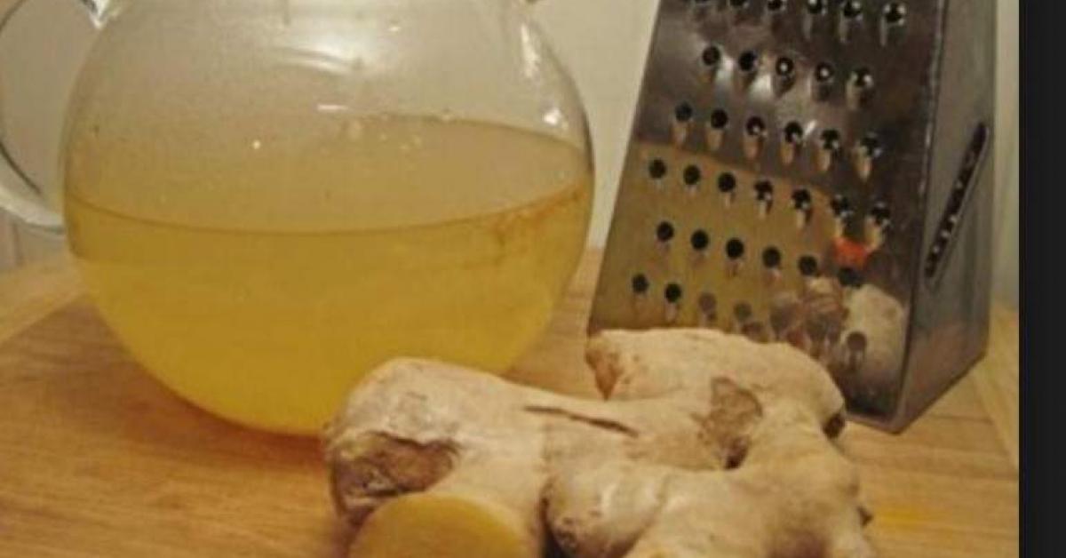 Minty Ginger Beer by Lou289. A Thermomix ® recipe in the category