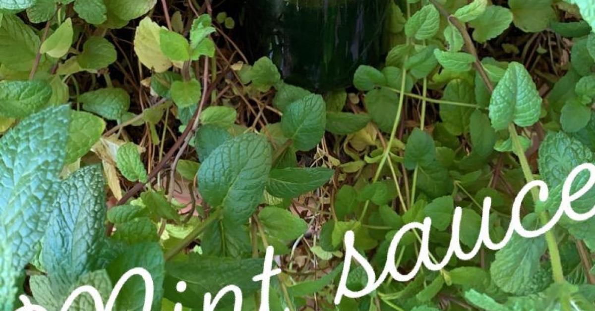 mint sauce tm5 by Maz neyland. A Thermomix ® recipe in the category