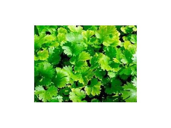 thumbnail image 1