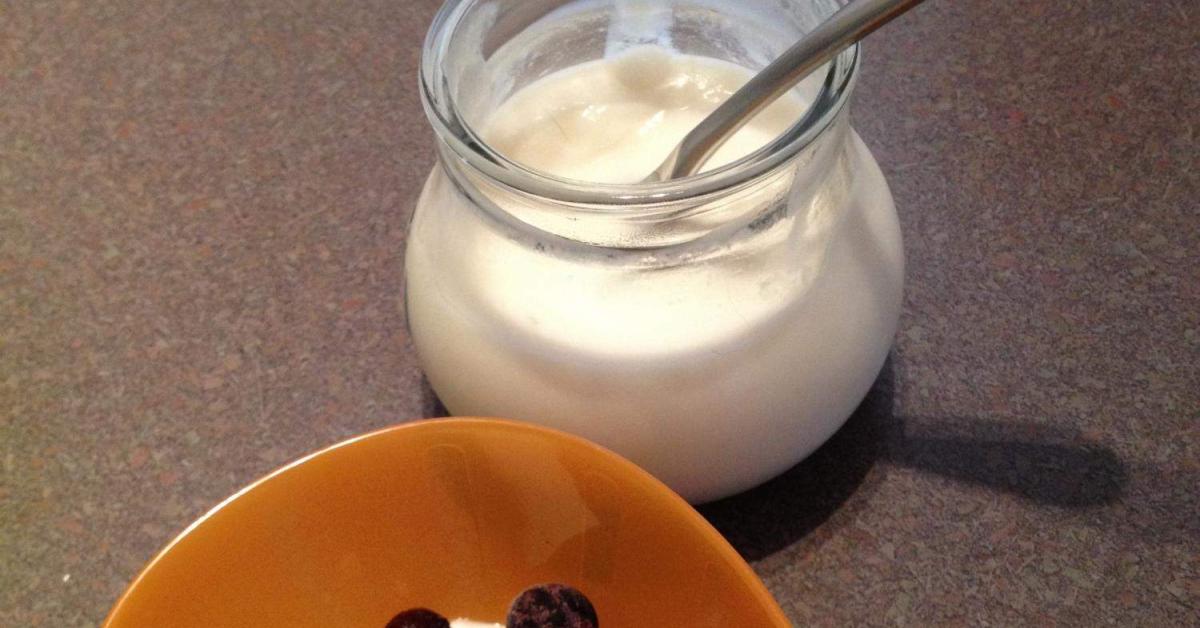 Coconut Milk Yoghurt by Jo McMahon Two Litre Kitchen. A Thermomix