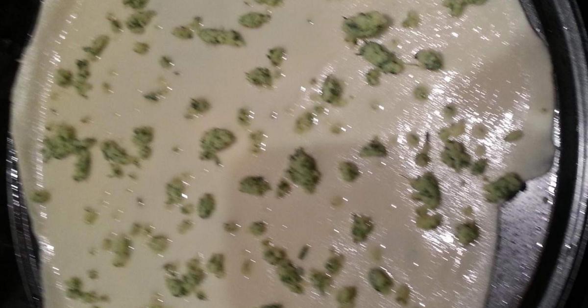 Greek Pizza Dough with Yoghurt by Pamela Thompson. A Thermomix ® recipe