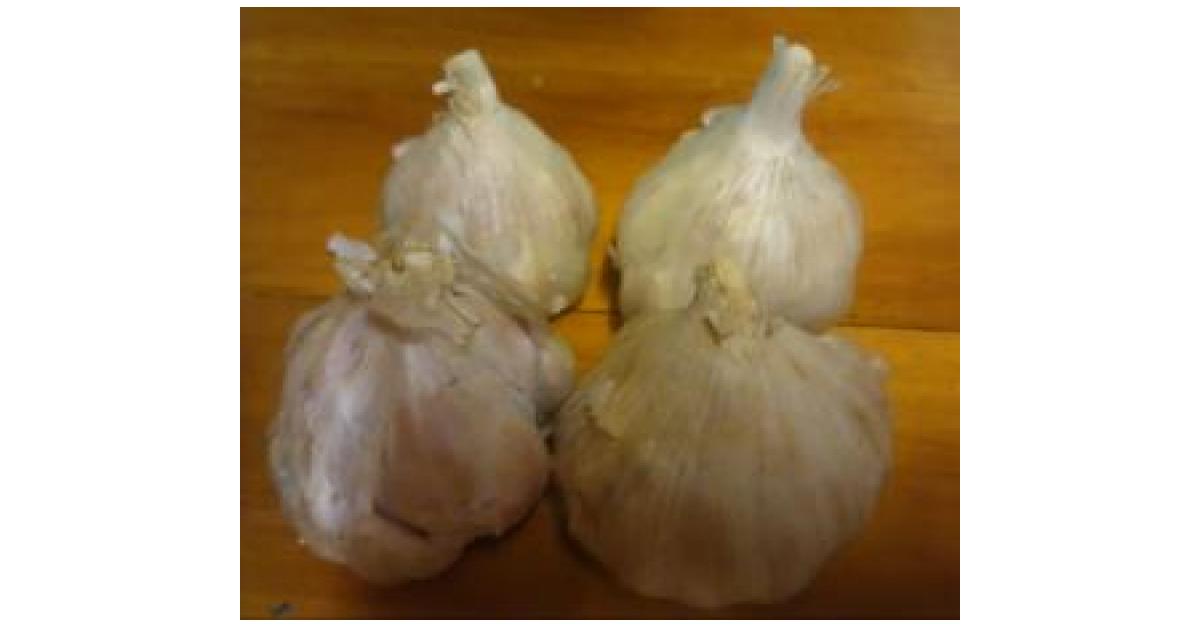 Peeling Garlic by MTR My Thermie Rules. A Thermomix ® recipe in the