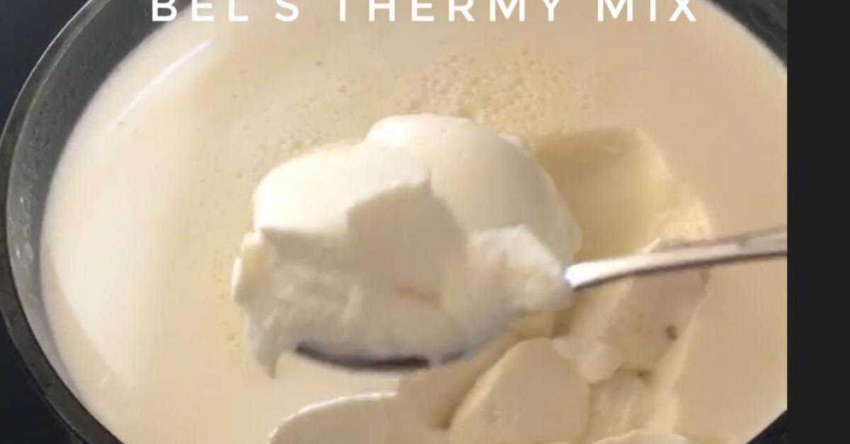 TM6 Thick and Creamy Pot Set Yoghurt by Bels Thermy Mix. A Thermomix