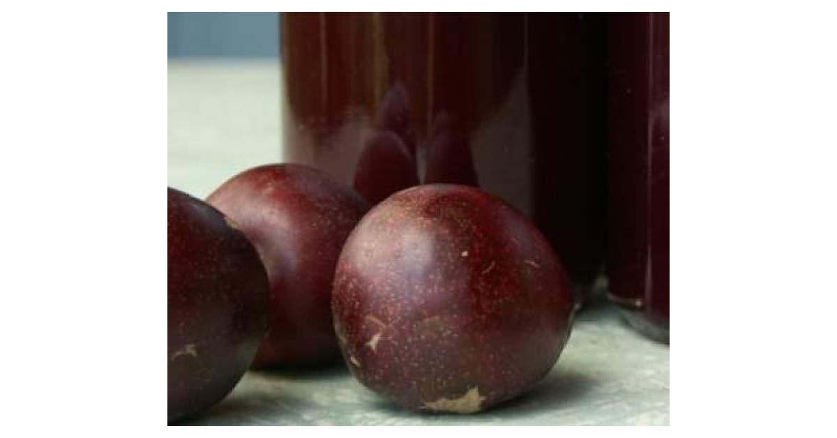 Spiced Plum Sauce (Roast Pork) by flipit. A Thermomix ® recipe in the