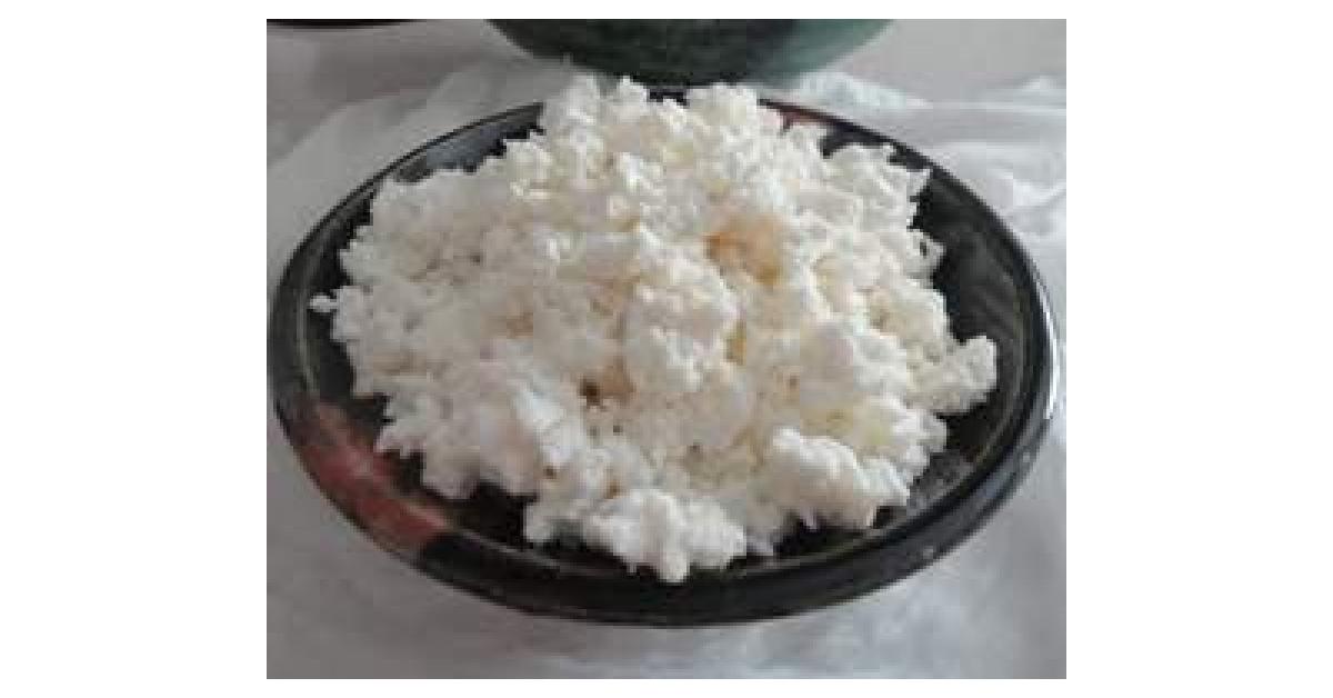 Cottage Cheese by JudyD. A Thermomix ® recipe in the category Basics on
