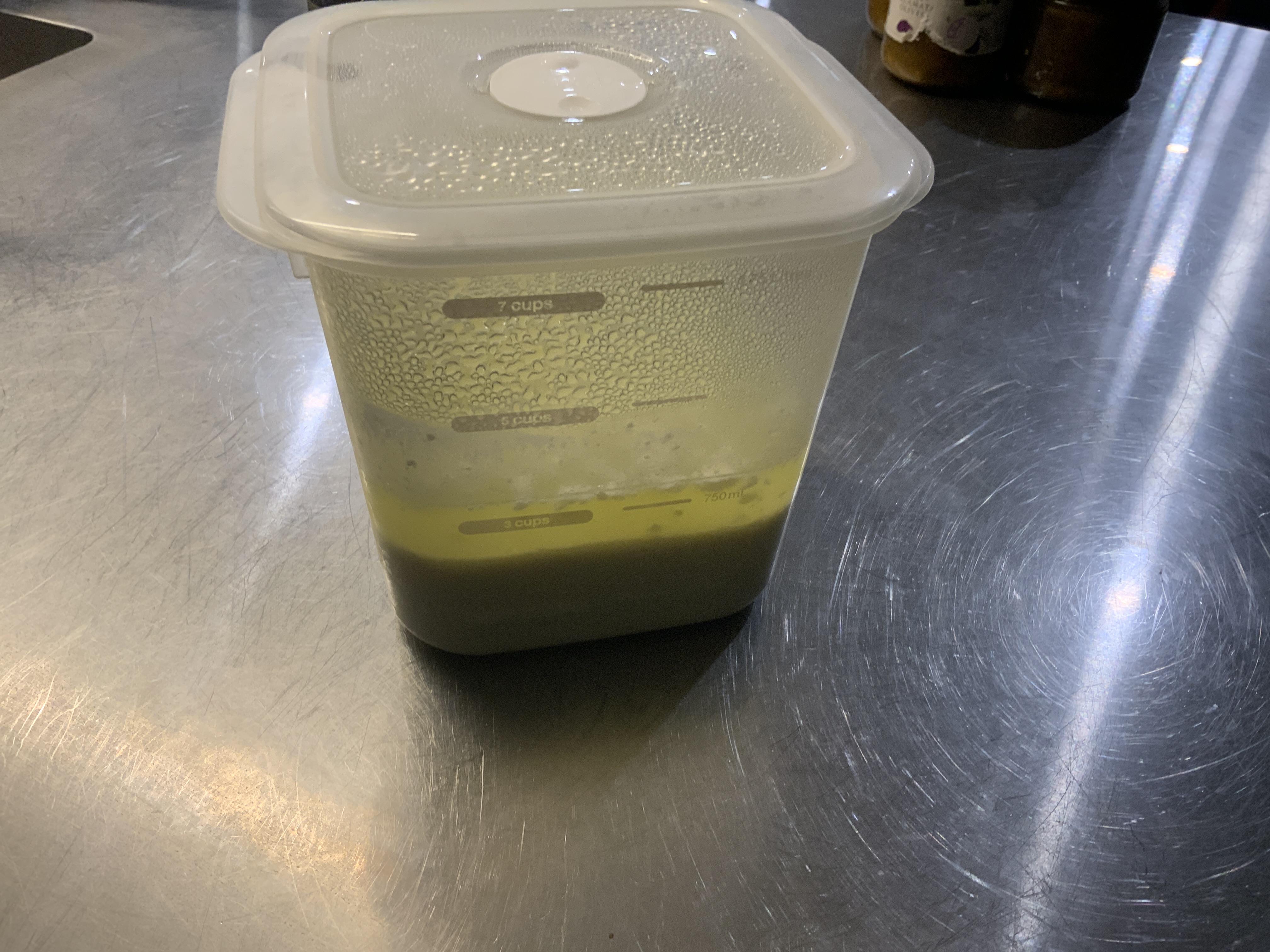 Greek Yoghurt-image