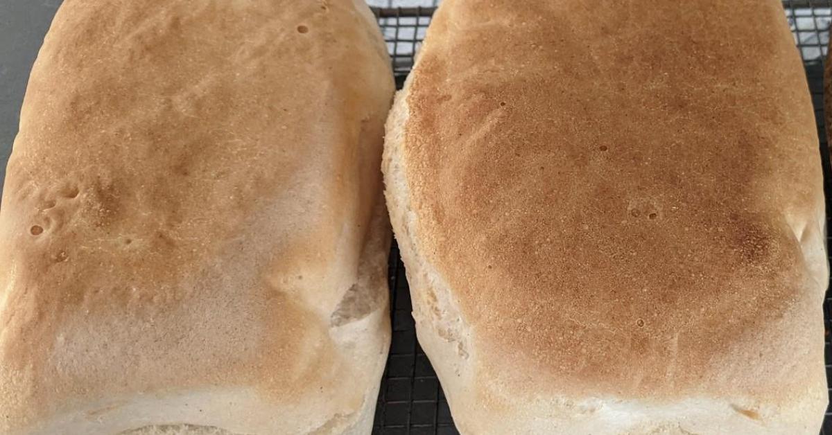 Gluten Free Bread (using Italian flour) by Donnas Wholefood Pantry. A