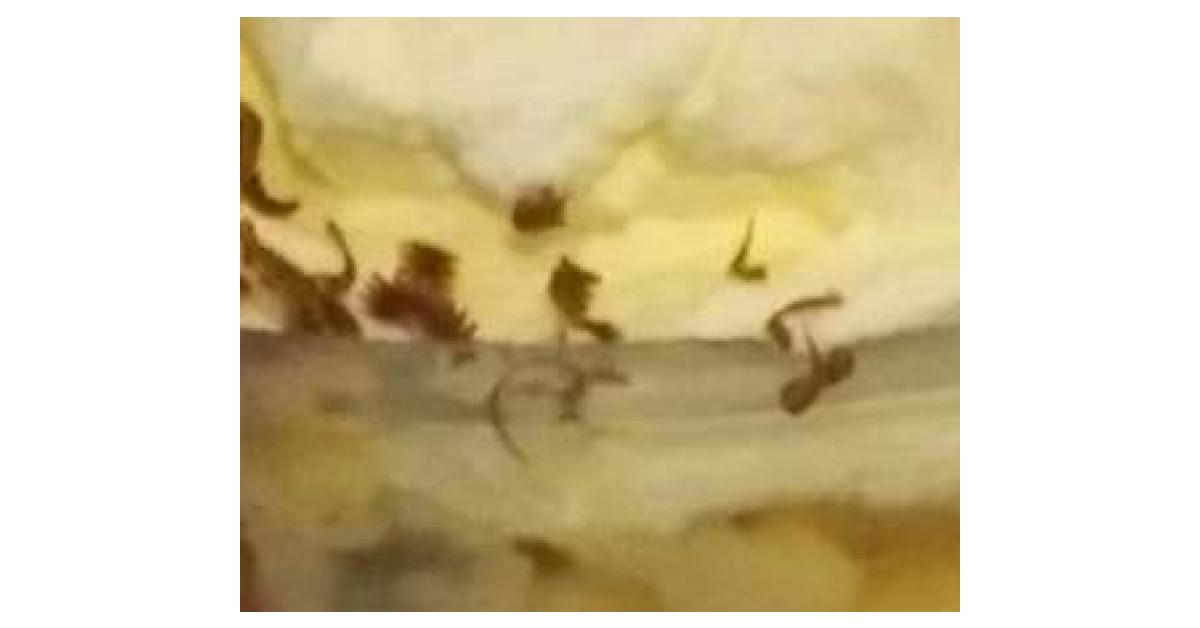 Blackberry and Port wine Trifle by kt_tildas_mum. A Thermomix ® recipe