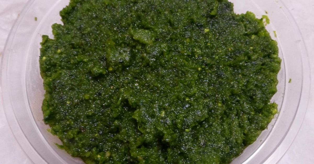 Bunya Nut & Kale Pesto by GJOESQ. A Thermomix ® recipe in the category