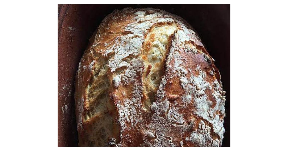 GF Honey and Sunflower Bread by eurobodallathermo. A Thermomix ® recipe