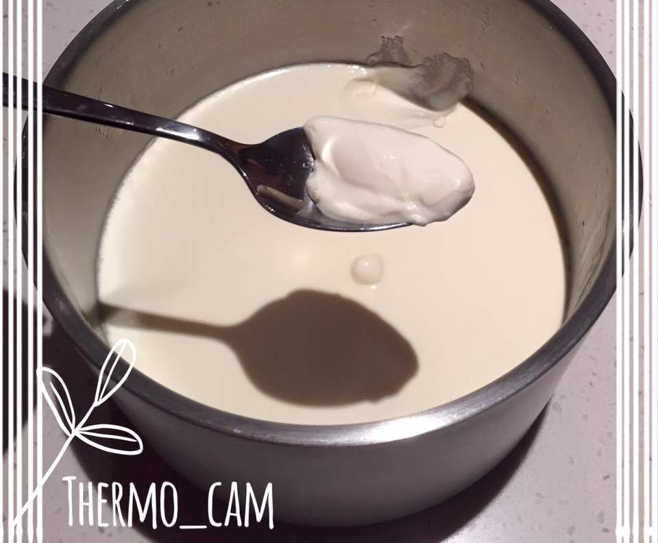 Thick Greek Yoghurt-image