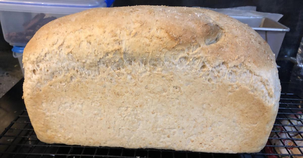 Light and high wholemeal bread, loaf or rolls by Thermomich85. A Thermomix ® recipe in the